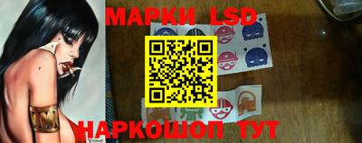 гашик Нарткала