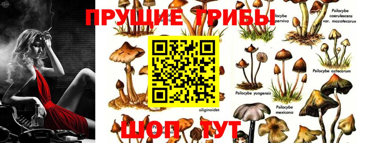 Саров  Псилоцибиновые грибы ЛСД  Вход с VPN 